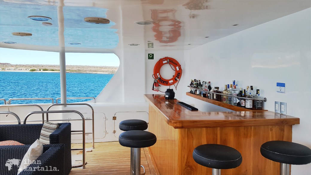 8-9-galapagos-cormorant-bar