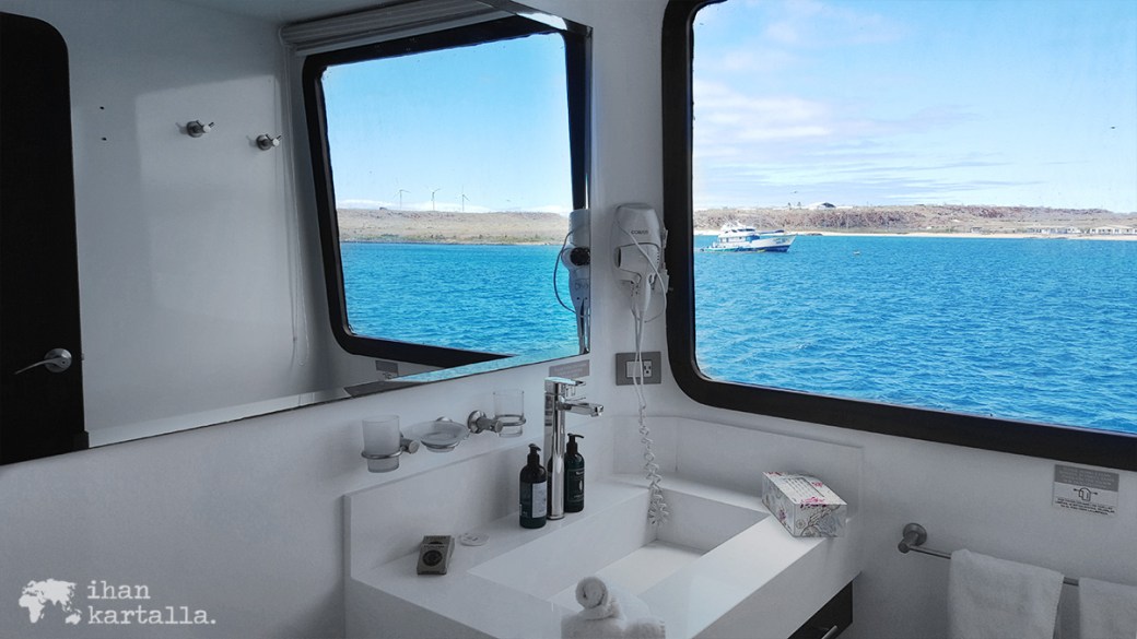 8-9-galapagos-cormorant-cabin2