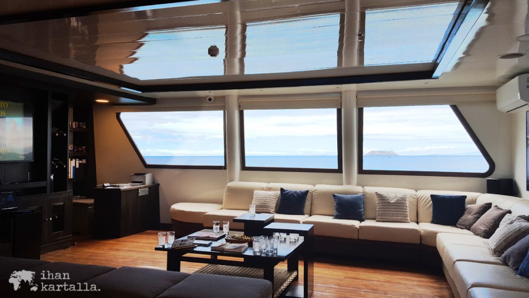 8-9-galapagos-cormorant-lounge