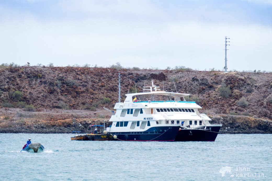 8-9-galapagos-cormorant