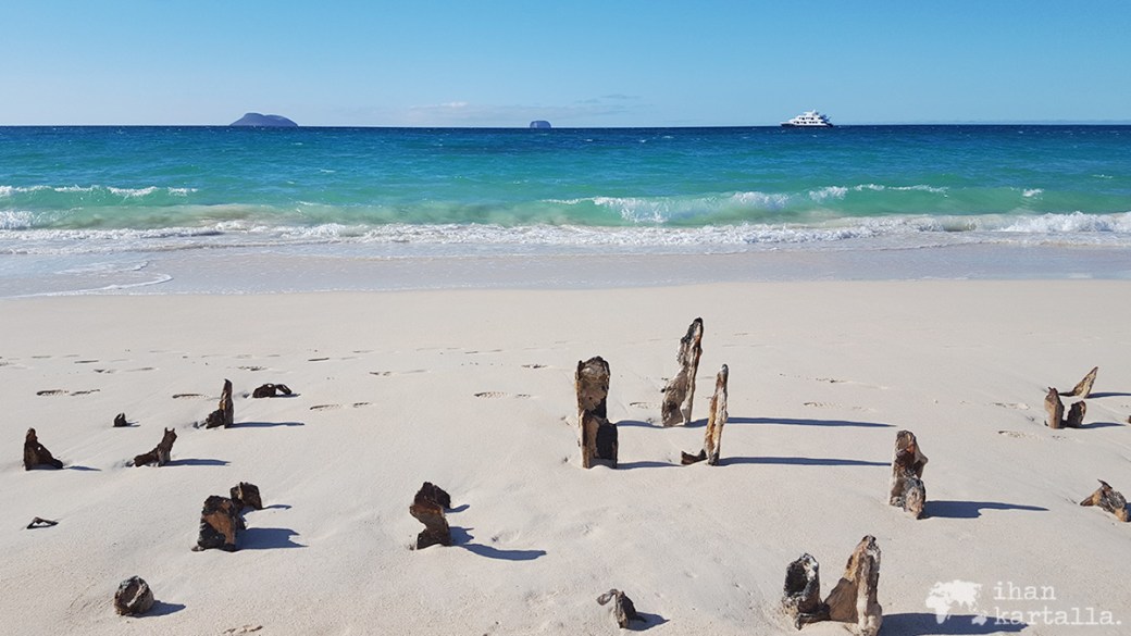 8-9-galapagos-santa-cruz-bachas-beach-pier