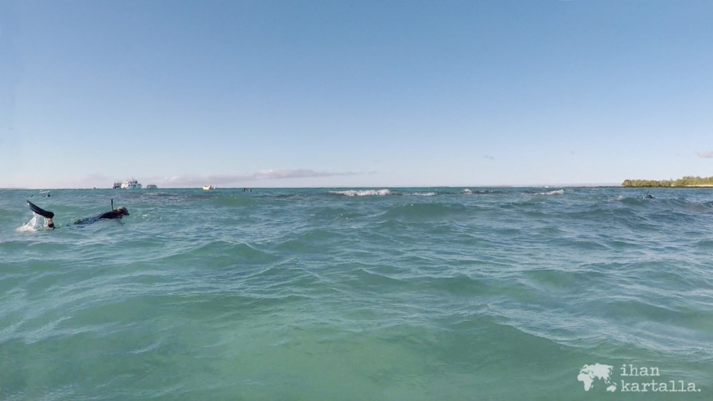 8-9-galapagos-santa-cruz-bachas-beach-snorkeling4