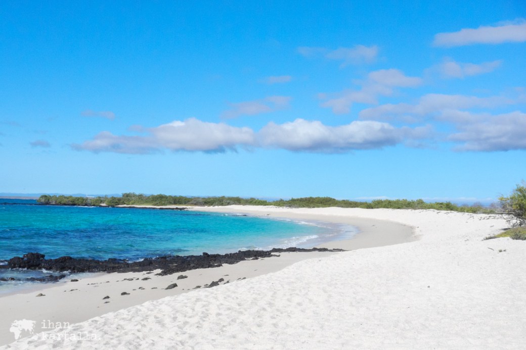 8-9-galapagos-santa-cruz-bachasbeach