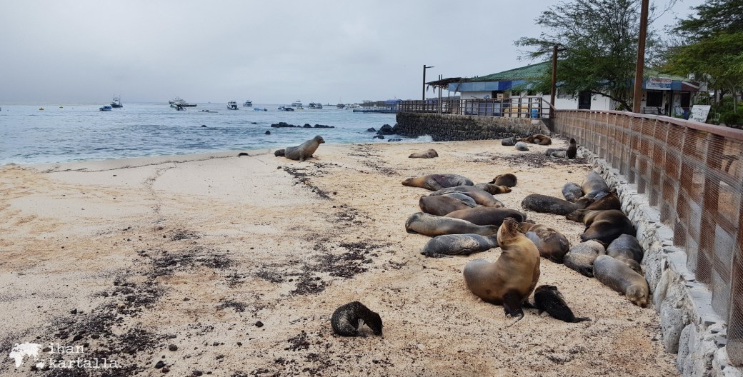 12-9-galapagos-puerto-baquerizo-moreno-banneri2