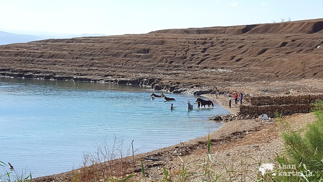 1-4-jordan-dead-sea-beach-3