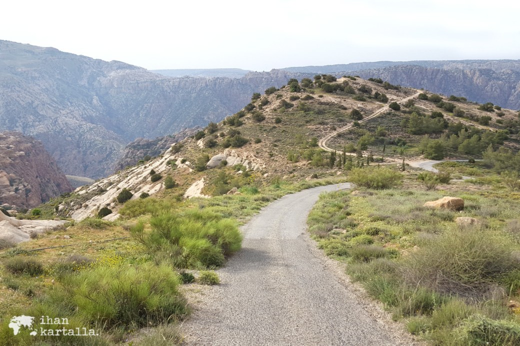 2-4-jordan-dana-biosphere-reserve-road-to-camp