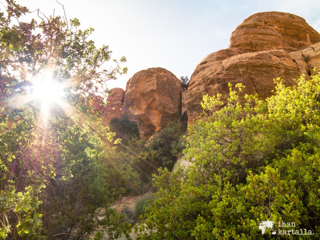 2-4-jordan-dana-biosphere-reserve-sunset