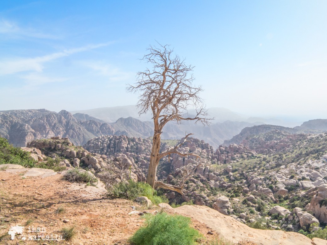 2-4-jordan-dana-biosphere-reserve-view-2