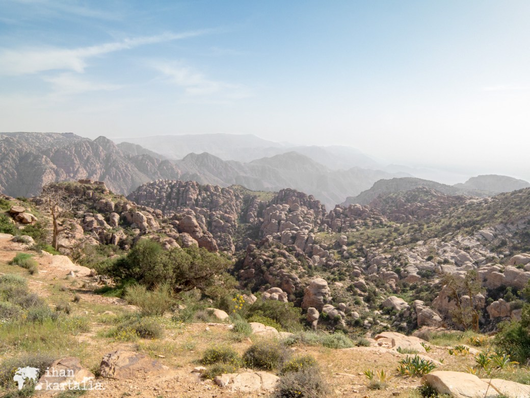 2-4-jordan-dana-biosphere-reserve-view