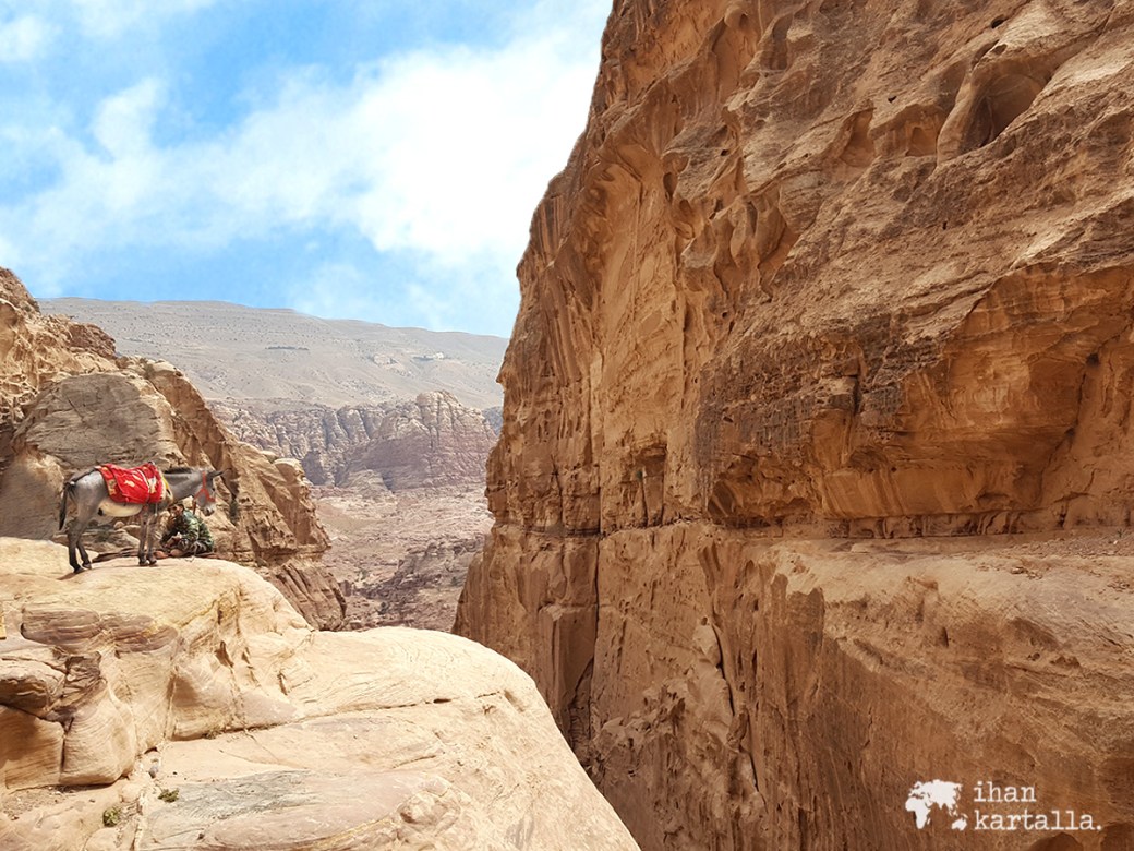 3-4-jordan-petra-donkey-view