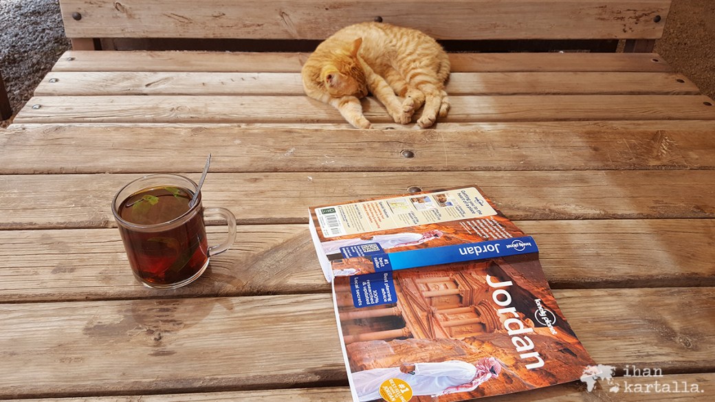 4-4-jordan-petra-cafe-cat