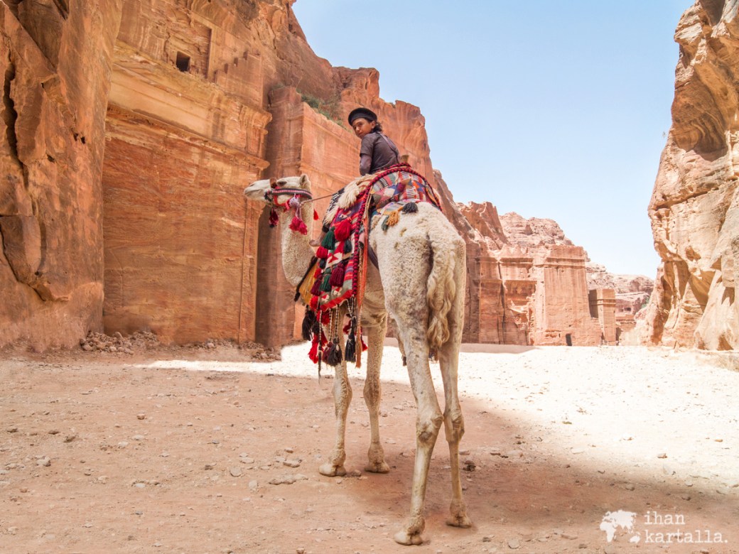 4-4-jordan-petra-camel-boy
