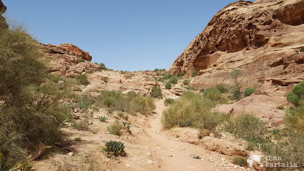 4-4-jordan-petra-path-to-treasury-view