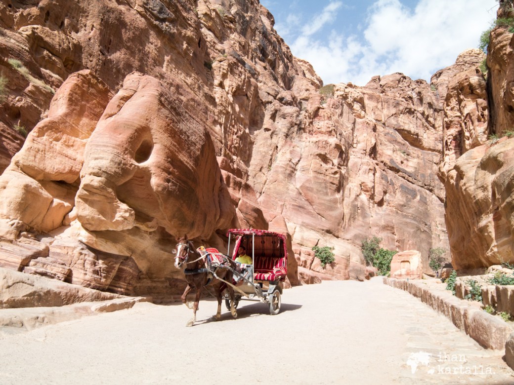 4-4-jordan-petra-siq-horse