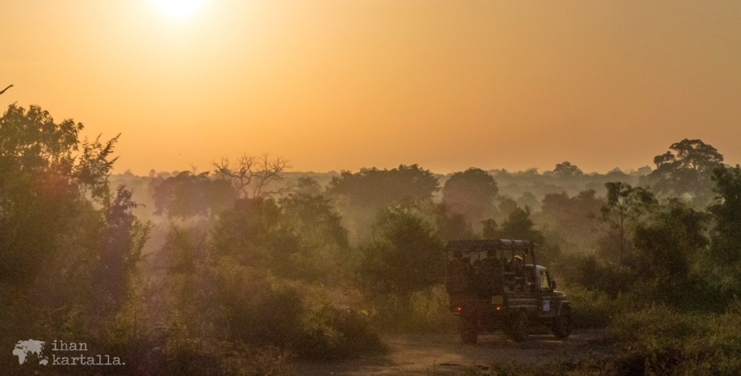 Sri Lankan road trip päivä 5: Udawalawen kansallispuisto –&nbsp;Mirissa